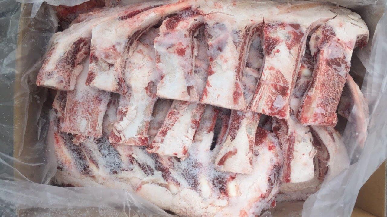 动物软骨