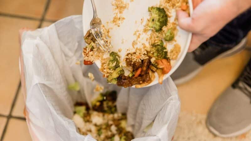 직장인을 위한 푸짐한 식사부터 맛있는 식사까지 직장인을 위한 푸짐한 식사부터 맛있는 식사까지