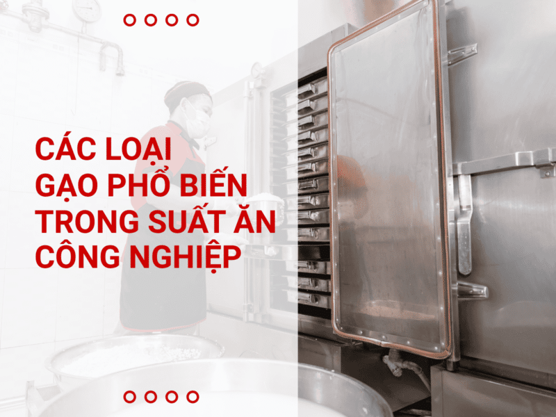 gạo phổ biến trong suất ăn công nghiệp